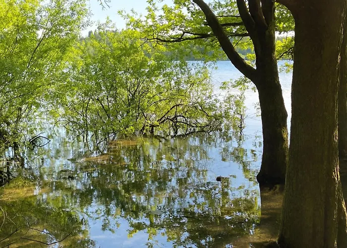 Habitación en casa particular Wohlfühlzimmer